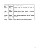 Biznesa plāns 'Uzņēmuma "Virtuves mēbeles" biznesa plāns', 20.