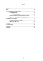 Referāts 'Pozitīvas domāšanas nozīme problēmsituāciju pārvarēšanas plānā un realizācijā', 2.