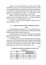 Referāts 'Uzņēmumu ienākuma nodoklis', 7.