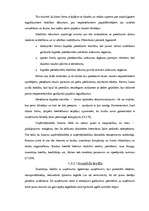 Referāts 'Biznesa plānošanas nozīme un komersanta darbības organizēšana', 12.