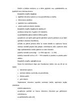 Referāts 'Biznesa plānošanas nozīme un komersanta darbības organizēšana', 13.