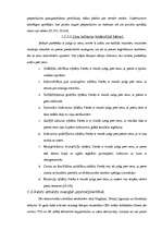 Referāts 'Biznesa plānošanas nozīme un komersanta darbības organizēšana', 23.