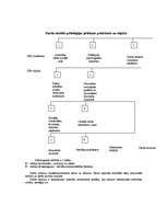 Konspekts 'Darba psiholoģija', 3.