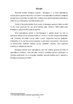 Referāts 'Nacionālās drošības apdraudējumu novēršanas prioritātes', 3.