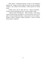 Prakses atskaite 'Mārketinga (tirgzinību) prakses atskaite I un II', 8.