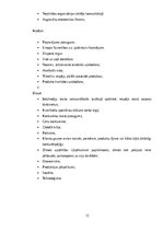 Prakses atskaite 'Mārketinga (tirgzinību) prakses atskaite I un II', 12.