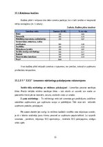 Prakses atskaite 'Mārketinga (tirgzinību) prakses atskaite I un II', 33.