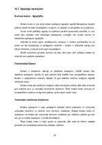 Prakses atskaite 'Mārketinga (tirgzinību) prakses atskaite I un II', 36.