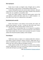 Prakses atskaite 'Mārketinga (tirgzinību) prakses atskaite I un II', 37.