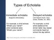 Prezentācija 'Symptoms and Causes of Echolalia', 3.