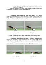 Konspekts 'Vingrinājumi fitnesā uz "Slide board" inventāra', 3.