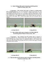 Konspekts 'Vingrinājumi fitnesā uz "Slide board" inventāra', 4.