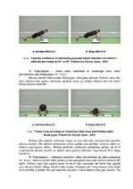 Konspekts 'Vingrinājumi fitnesā uz "Slide board" inventāra', 9.