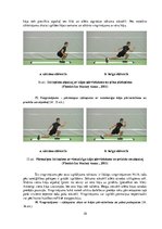 Konspekts 'Vingrinājumi fitnesā uz "Slide board" inventāra', 10.