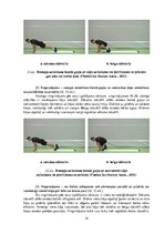 Konspekts 'Vingrinājumi fitnesā uz "Slide board" inventāra', 14.