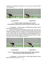 Konspekts 'Vingrinājumi fitnesā uz "Slide board" inventāra', 15.