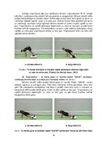 Konspekts 'Vingrinājumi fitnesā uz "Slide board" inventāra', 16.