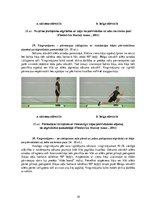 Konspekts 'Vingrinājumi fitnesā uz "Slide board" inventāra', 18.