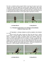 Konspekts 'Vingrinājumi fitnesā uz "Slide board" inventāra', 21.