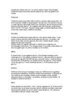 Referāts 'Projekta darbs fizikā par mērvienībām, pulksteņiem', 3.