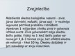 Prezentācija 'Zvejniecība', 2.