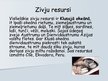 Prezentācija 'Zvejniecība', 3.