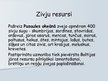 Prezentācija 'Zvejniecība', 6.