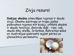 Prezentācija 'Zvejniecība', 10.