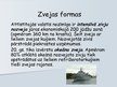 Prezentācija 'Zvejniecība', 12.