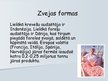 Prezentācija 'Zvejniecība', 14.