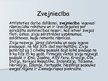 Prezentācija 'Zvejniecība', 15.