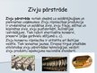 Prezentācija 'Zvejniecība', 19.