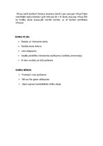 Referāts 'Projekta darbs. Interjera dizains', 11.