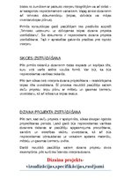 Referāts 'Projekta darbs. Interjera dizains', 34.