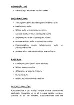 Referāts 'Projekta darbs. Interjera dizains', 35.