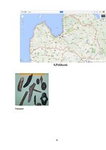 Konspekts 'Neolītiskā revolūcija Latvijas teritorijā', 10.
