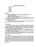 Konspekts 'Elpošanas sistēma', 3.