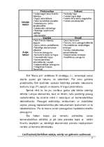 Biznesa plāns 'Nekustamā īpašuma birojs', 13.