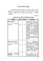 Biznesa plāns 'Nekustamā īpašuma birojs', 29.