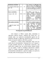 Biznesa plāns 'Nekustamā īpašuma birojs', 32.