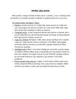 Konspekts 'Vērtības māsu praksē', 1.