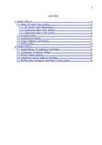 Referāts 'AAS „IF Latvia” mārketinga vides un stratēģijas analīze, darbības plānošana', 2.