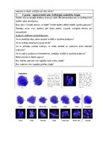 Konspekts 'Konspekts integrēto mācību nodarbībai', 5.
