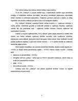 Biznesa plāns 'Biznesa plāns sporta klubam SIA "Lifestyle"', 7.