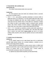 Biznesa plāns 'Biznesa plāns sporta klubam SIA "Lifestyle"', 9.