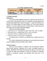 Biznesa plāns 'Biznesa plāns sporta klubam SIA "Lifestyle"', 17.