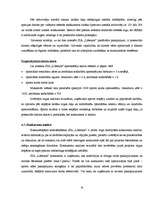 Biznesa plāns 'Biznesa plāns sporta klubam SIA "Lifestyle"', 21.