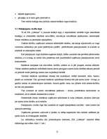 Biznesa plāns 'Biznesa plāns sporta klubam SIA "Lifestyle"', 24.