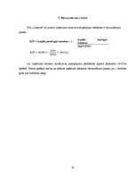 Biznesa plāns 'Biznesa plāns sporta klubam SIA "Lifestyle"', 36.