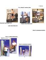 Biznesa plāns 'Biznesa plāns sporta klubam SIA "Lifestyle"', 38.